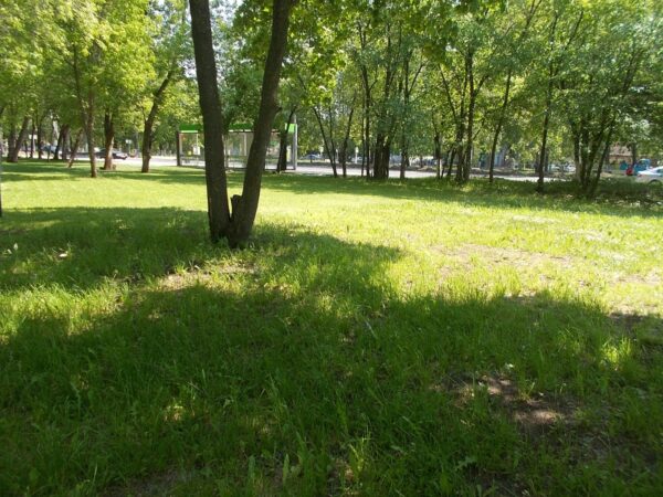 Определить объем и стоимость фактически выполненных истцом работ — фото 4