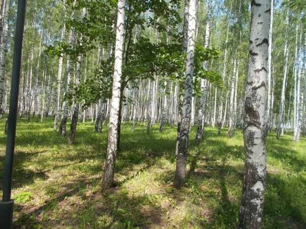 Определить объем и стоимость фактически выполненных истцом работ — фото 7