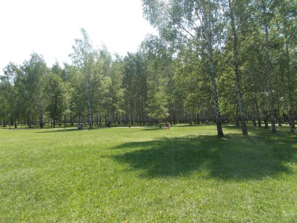 Определить объем и стоимость фактически выполненных истцом работ — фото 17