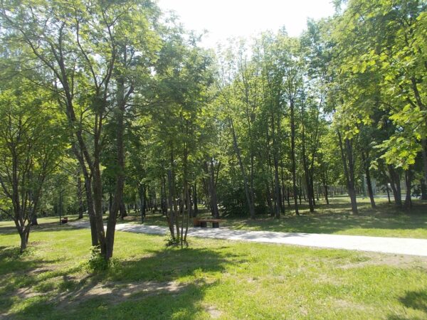 Определить объем и стоимость фактически выполненных истцом работ — фото 23