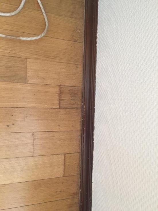 C:\Users\User\Downloads\1\Залив\26-08-2019_11-34-49\PHOTO-2019-07-09-13-46-09 (17).jpg