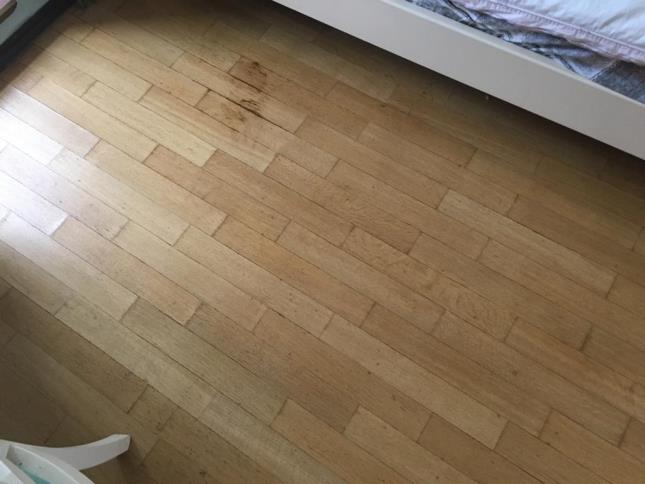 C:\Users\User\Downloads\1\Залив\26-08-2019_11-34-49\PHOTO-2019-07-09-13-46-09 (10).jpg