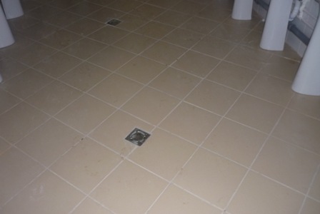 C:\Documents and Settings\2\Local Settings\Temporary Internet Files\Content.Word\P1380029.jpg
