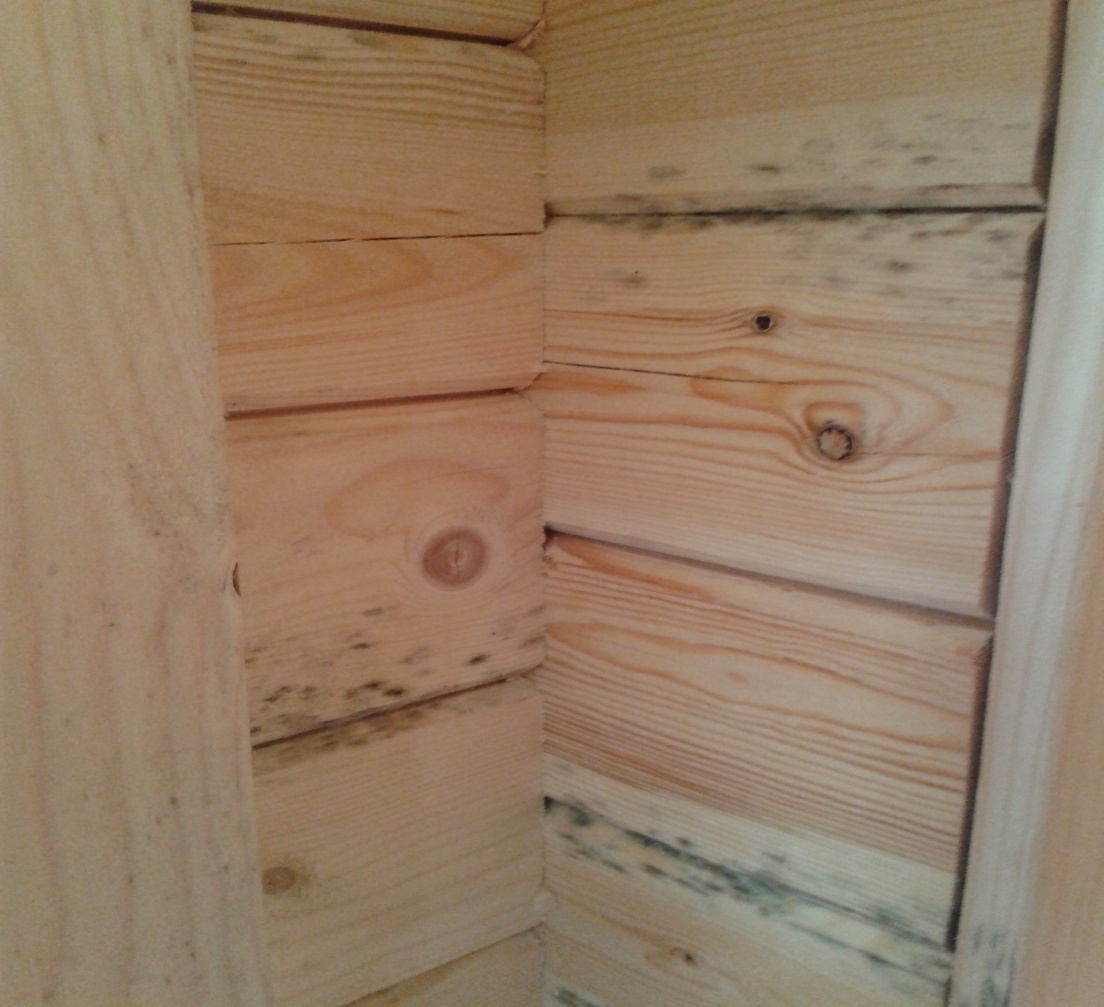 C:\Documents and Settings\Сертификат\Рабочий стол\119_вика 0611\№3 фото\2014-05-27 12.38.43.jpg