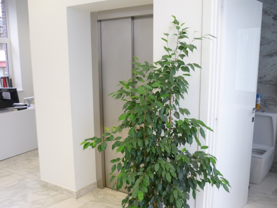 E:\98Эрбовитал_0204\фото 180214\P1490184.JPG