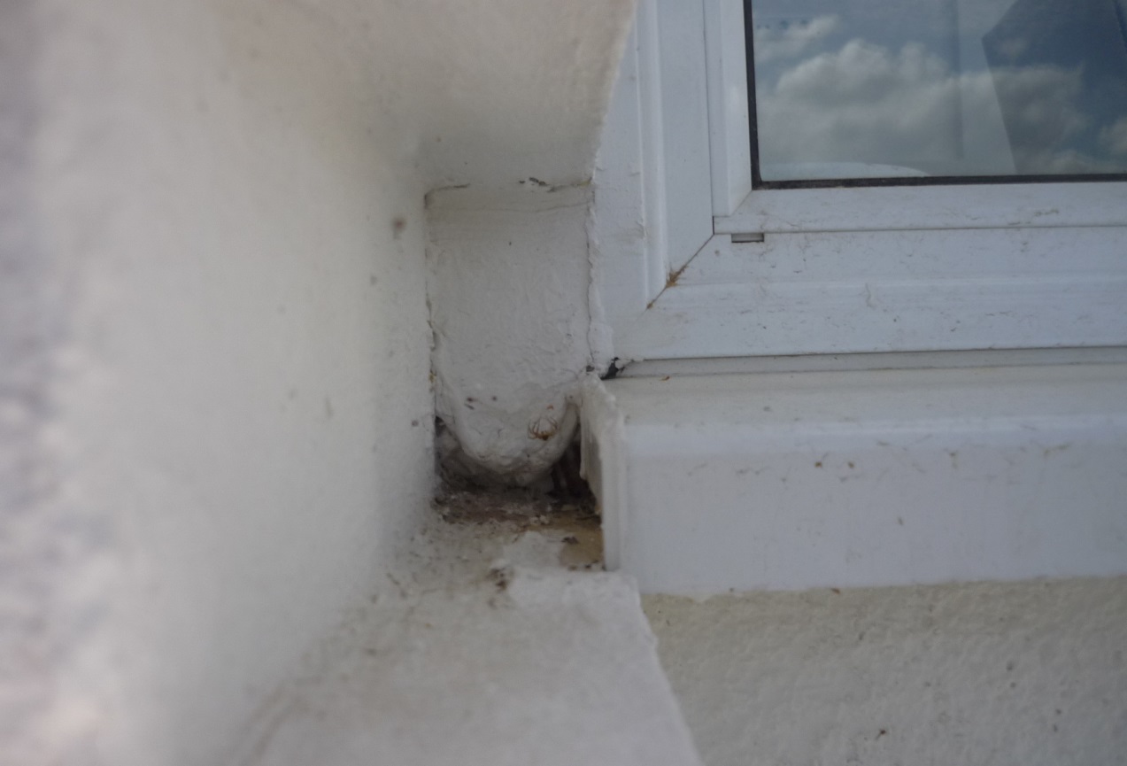 F:\DCIM\111_PANA\P1110336.JPG